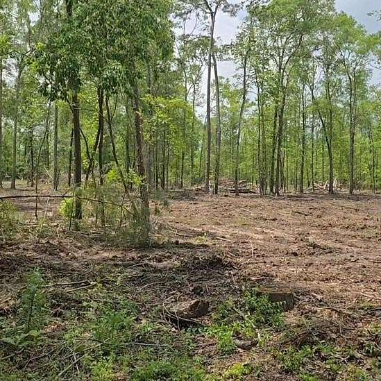 2.43 Acres of Land for Sale in Spurger, Texas