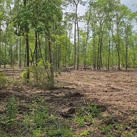 2.43 Acres of Land for Sale in Spurger, Texas
