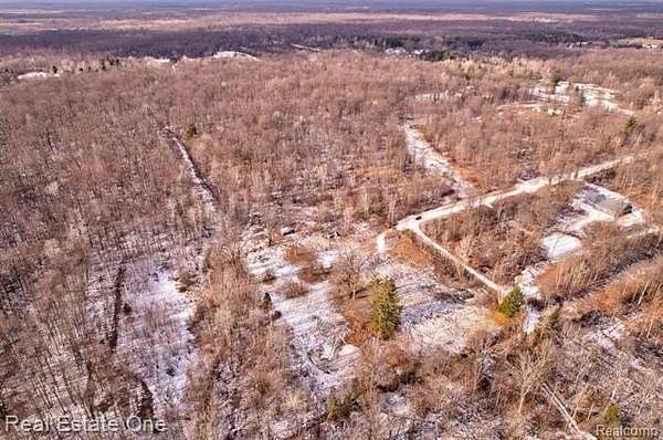 10 Acres of Recreational & Residential Land for Sale in Lee Township, Michigan