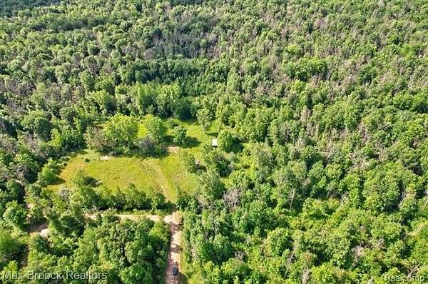 10 Acres of Recreational & Residential Land for Sale in Lee Township, Michigan