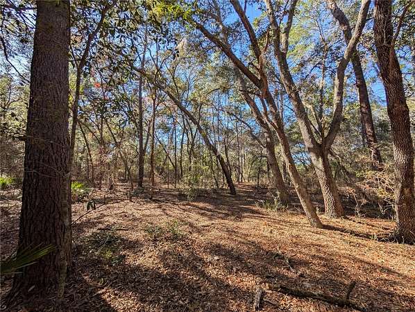 1.15 Acres of Residential Land for Sale in Pomona Park, Florida