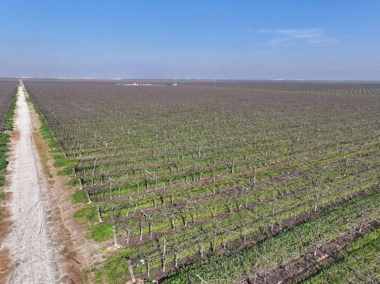 79.6 Acres of Land for Sale in Delano, California