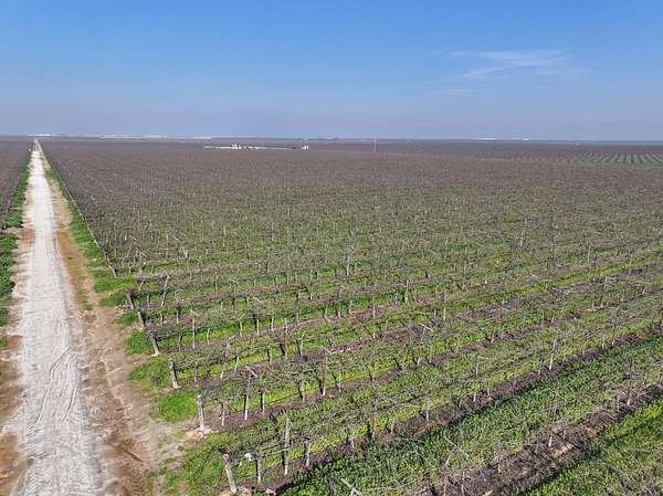 79.6 Acres of Land for Sale in Delano, California