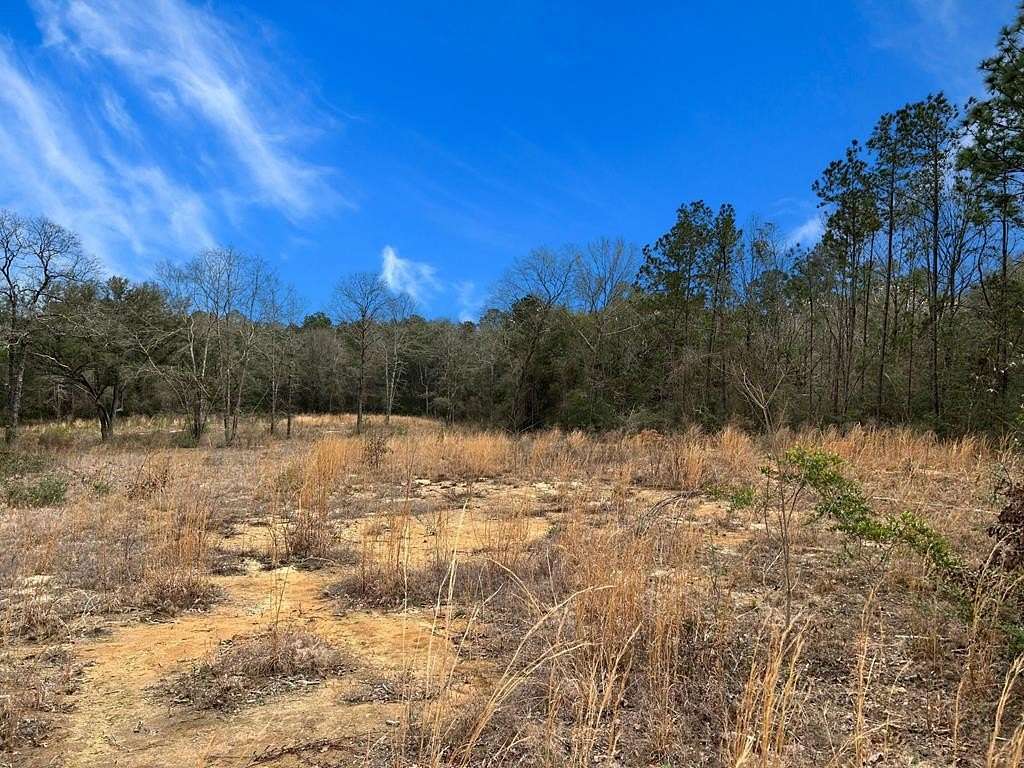 5.52 Acres of Land for Sale in Carriere, Mississippi