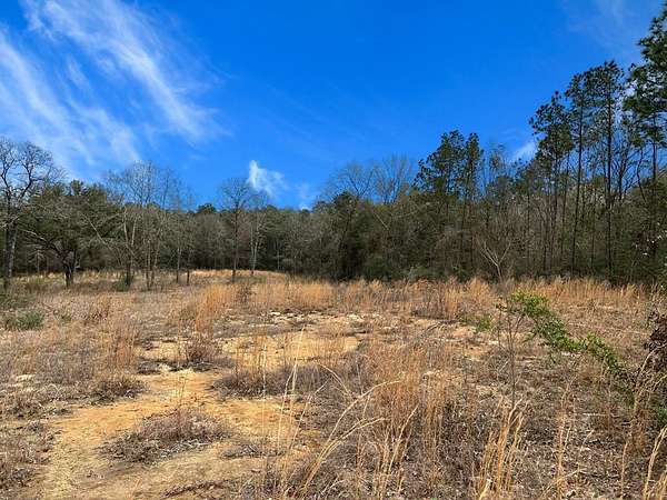 5.52 Acres of Land for Sale in Carriere, Mississippi