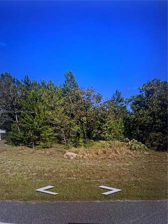0.22 Acres of Residential Land for Sale in Florahome, Florida