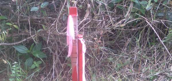 1 Acre of Residential Land for Sale in Mountain View, Hawaii