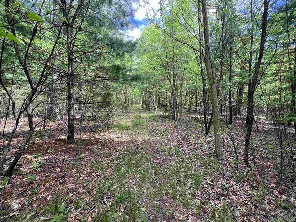 17.8 Acres of Recreational Land for Sale in Oxford, Wisconsin