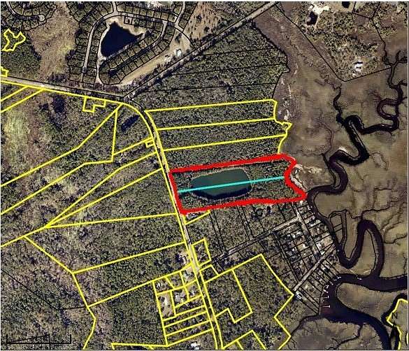 21.3 Acres of Recreational Land for Sale in Waverly, Georgia