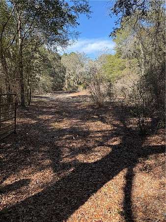 3 Acres of Residential Land for Sale in Hortense, Georgia