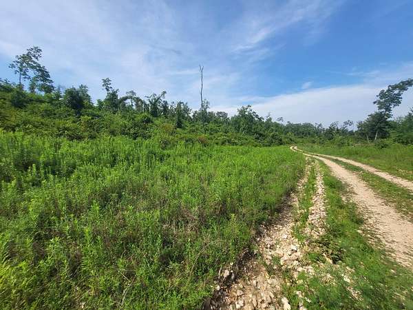 5.48 Acres of Land for Sale in Seymour, Missouri