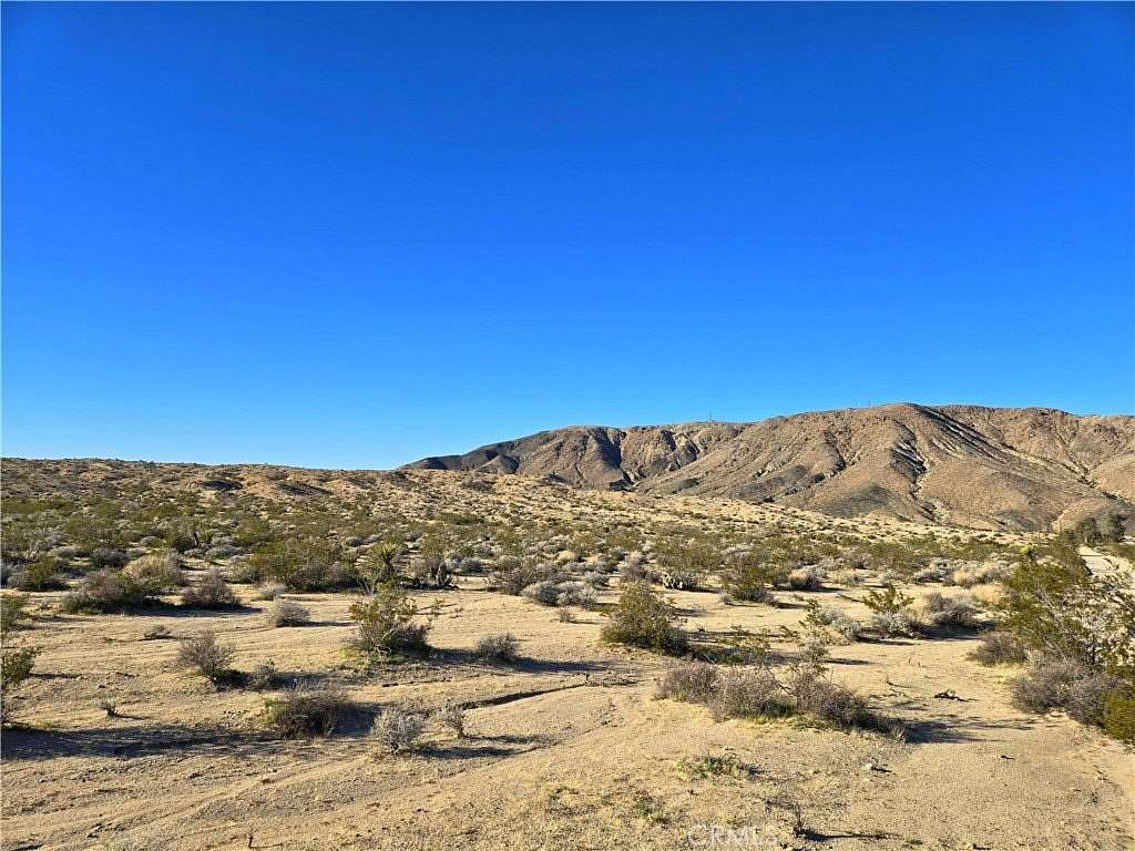 40 Acres of Agricultural Land for Sale in Joshua Tree, California