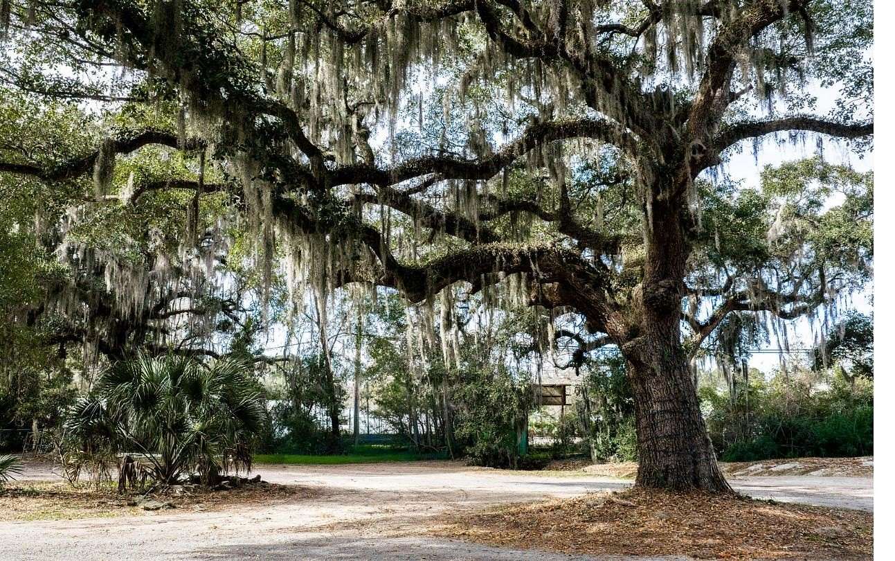 2.9 Acres of Commercial Land for Sale in Pawleys Island, South Carolina