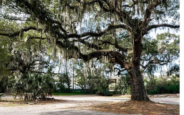 2.9 Acres of Commercial Land for Sale in Pawleys Island, South Carolina