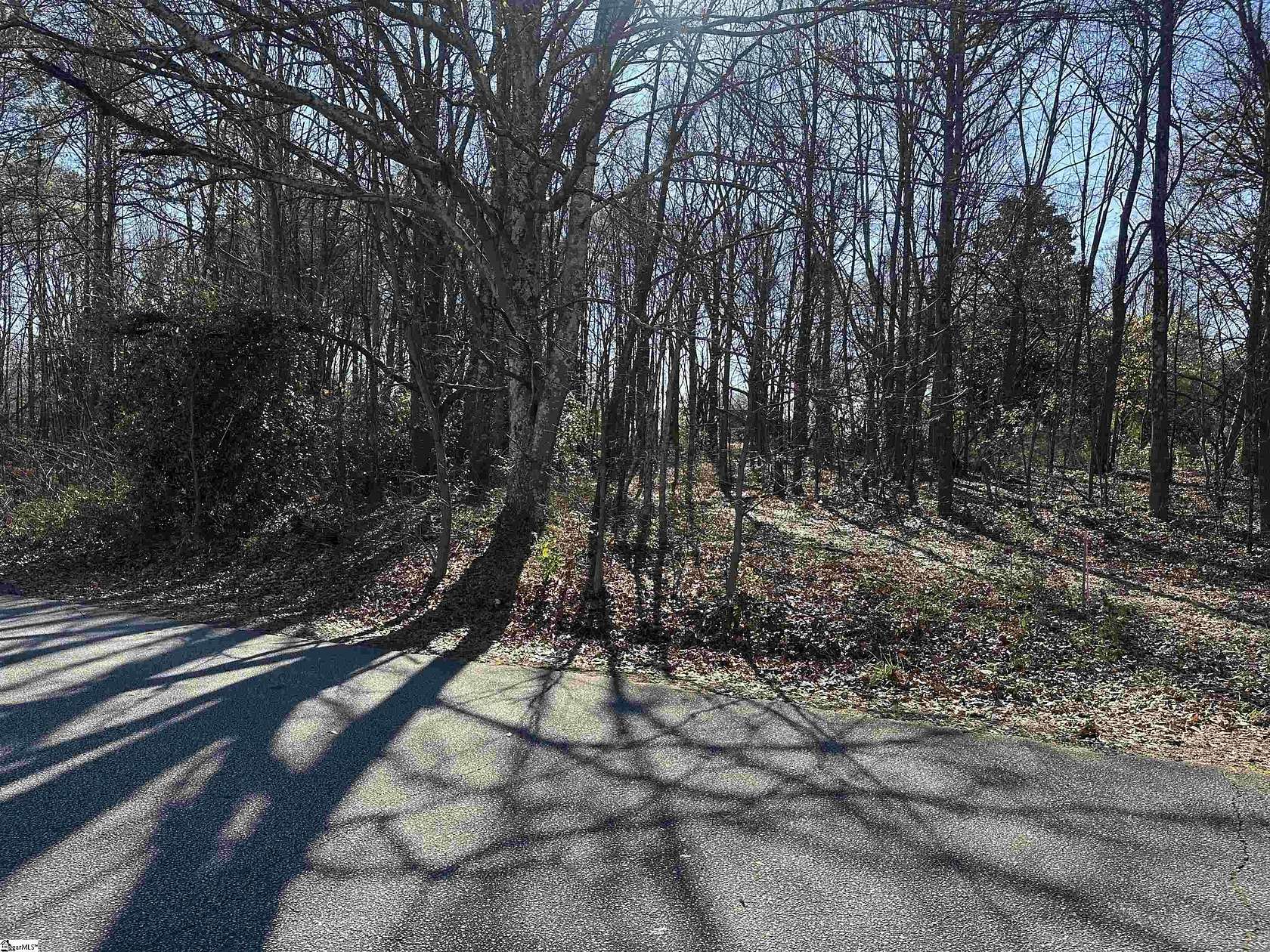 0.5 Acres of Residential Land for Sale in Greenville, South Carolina