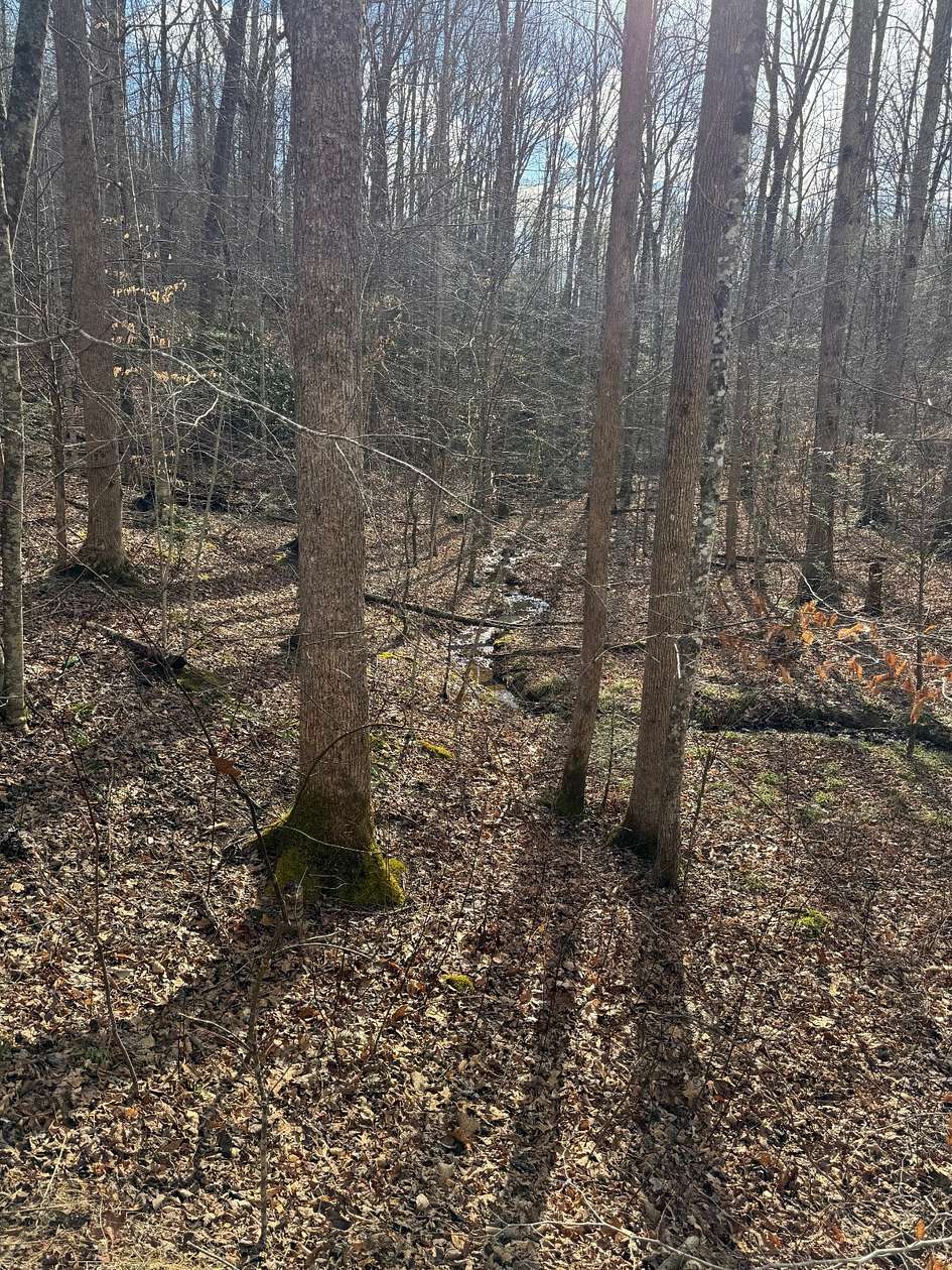 1.9 Acres of Land for Sale in Gatlinburg, Tennessee