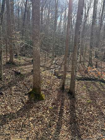 1.9 Acres of Land for Sale in Gatlinburg, Tennessee