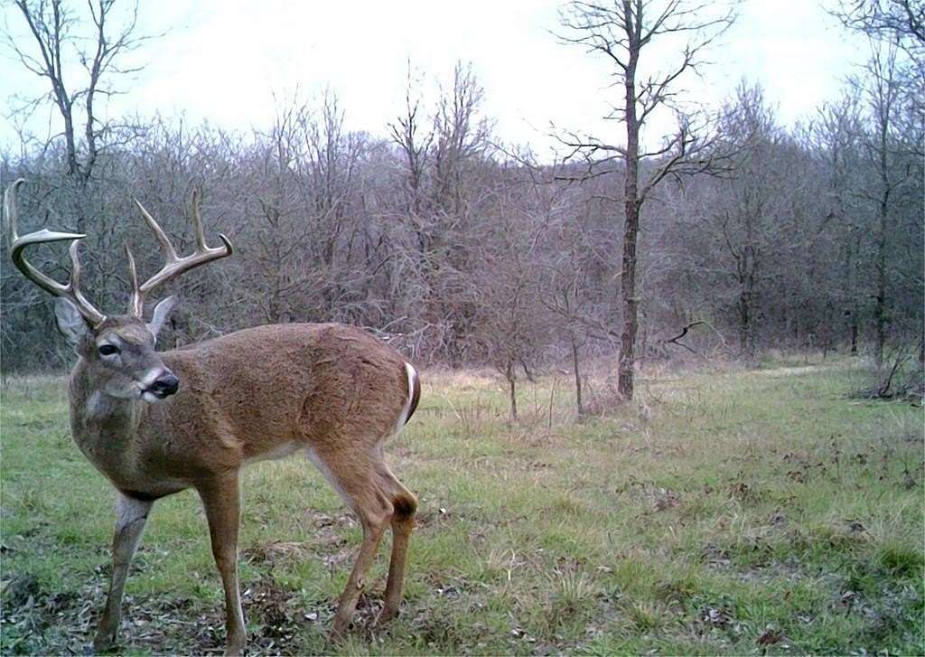 16 Acres of Recreational Land for Sale in Richland, Texas