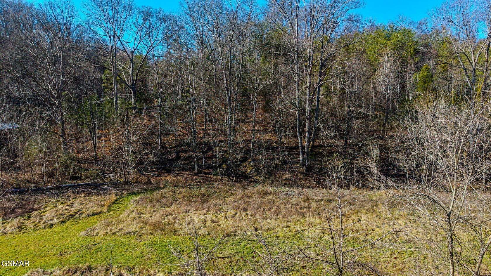 13.3 Acres of Land for Sale in Seymour, Tennessee