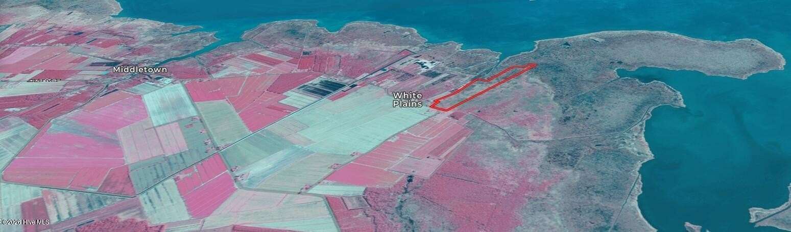 69.8 Acres of Recreational Land for Sale in Engelhard, North Carolina