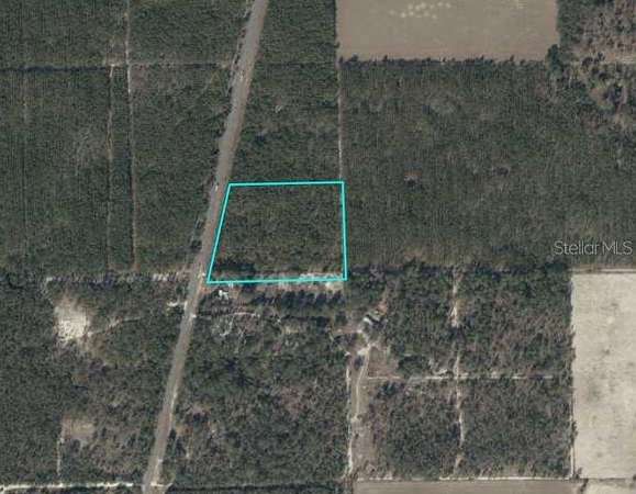 12 Acres of Land for Sale in Bell, Florida