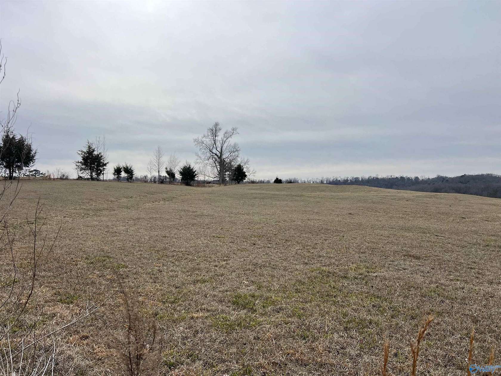21 Acres of Land for Sale in Falkville, Alabama