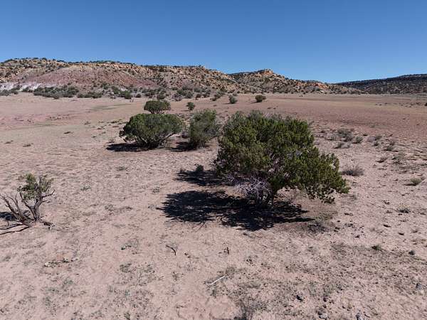 36.7 Acres of Recreational Land for Sale in St. Johns, Arizona