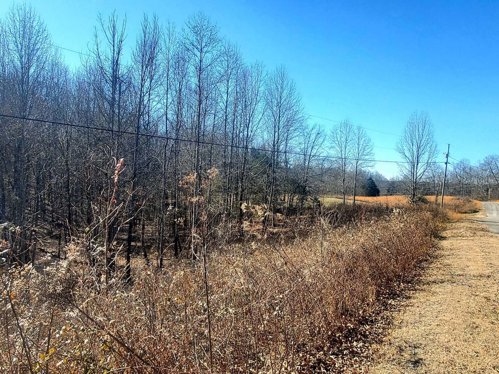 1 Acre of Residential Land for Sale in Smithville, Tennessee