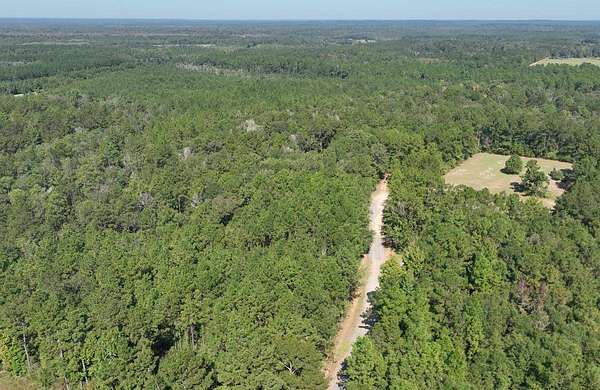 79 Acres of Recreational Land for Sale in Lucedale, Mississippi