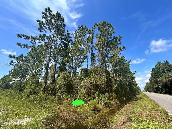 0.95 Acres of Residential Land for Sale in Lake Placid, Florida