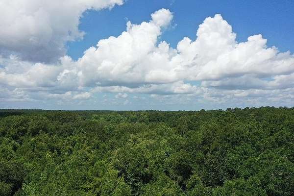 10 Acres of Residential Land for Sale in Havana, Florida