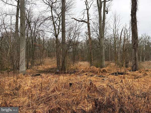 2.88 Acres of Residential Land for Sale in Mount Holly, New Jersey