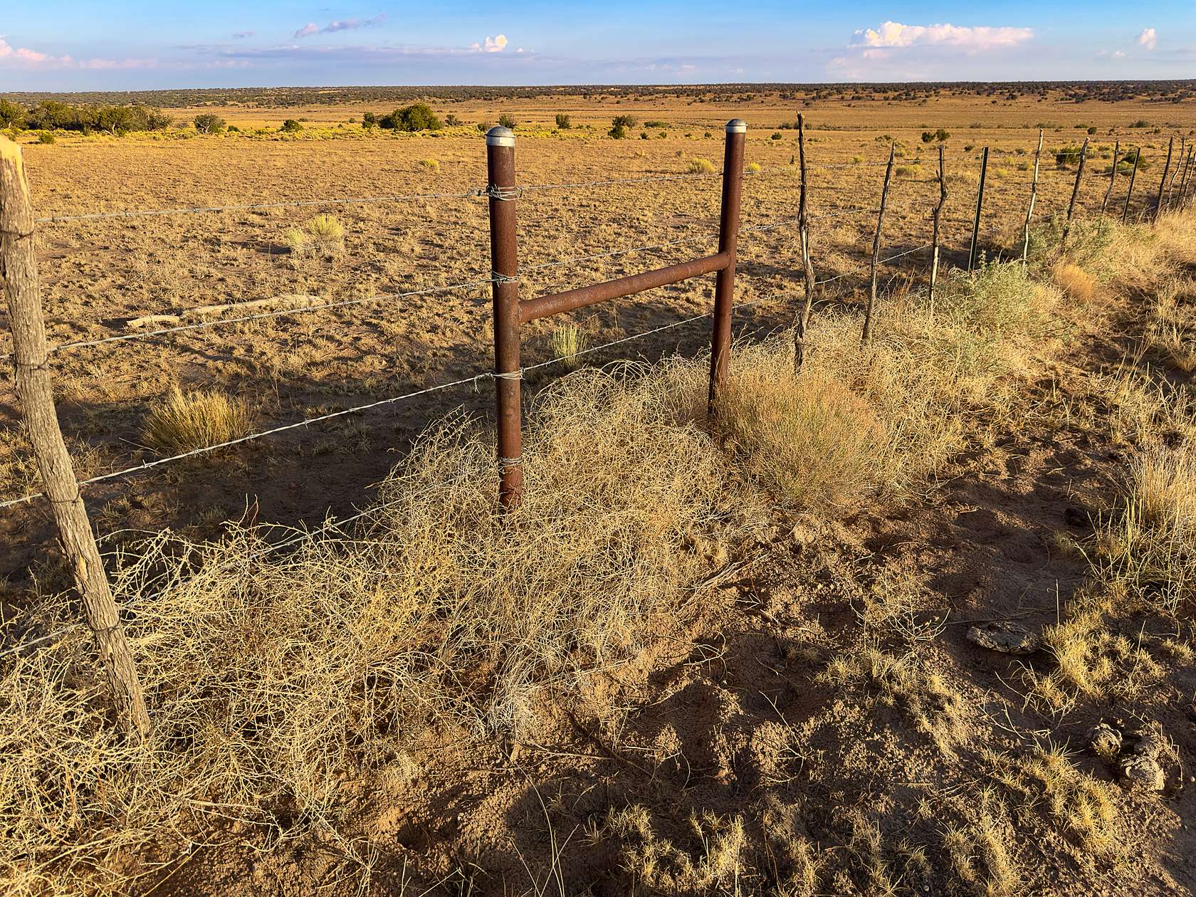 37 Acres of Recreational Land for Sale in St. Johns, Arizona