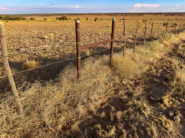 37 Acres of Recreational Land for Sale in St. Johns, Arizona