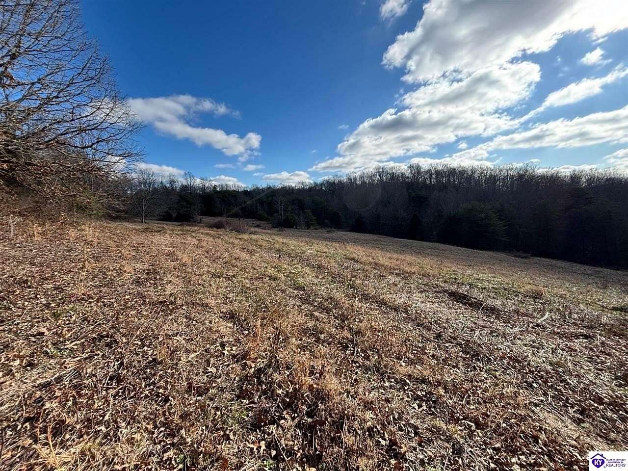 11.6 Acres of Land for Auction in Clarkson, Kentucky