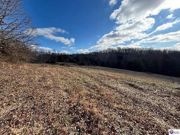 11.6 Acres of Land for Auction in Clarkson, Kentucky
