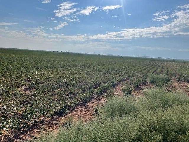 156 Acres of Land for Sale in Lubbock, Texas