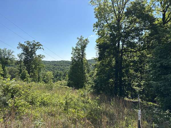 1.6 Acres of Residential Land for Auction in Georgetown, Tennessee