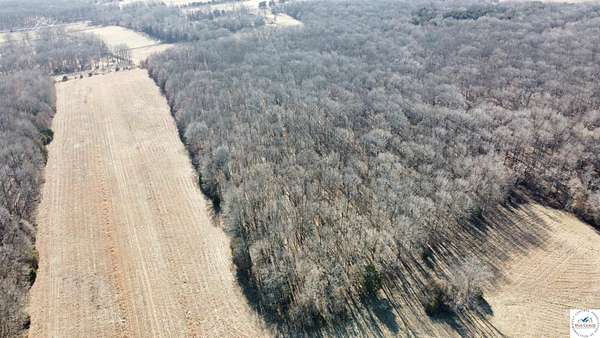 75 Acres of Land for Sale in Edwards, Missouri