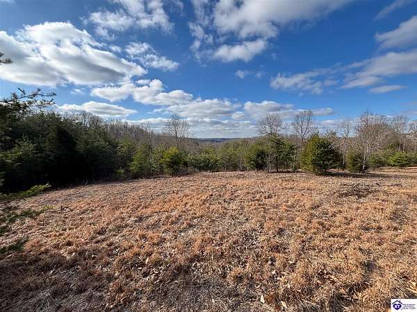 11.7 Acres of Land for Auction in Clarkson, Kentucky