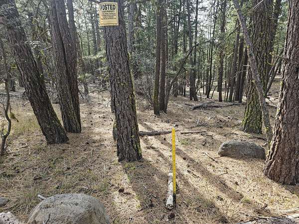 2.65 Acres of Land for Sale in Bonanza, Oregon