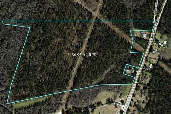 57 Acres of Recreational Land for Sale in Smoaks, South Carolina