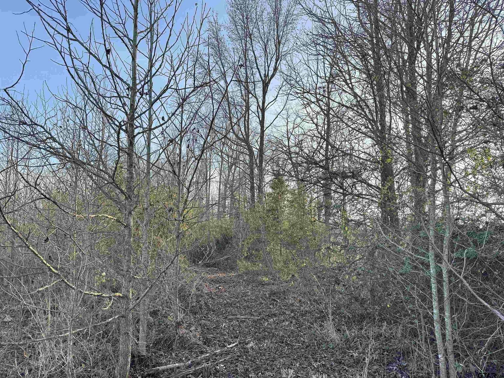 2.59 Acres of Residential Land for Sale in Mount Pleasant, Texas