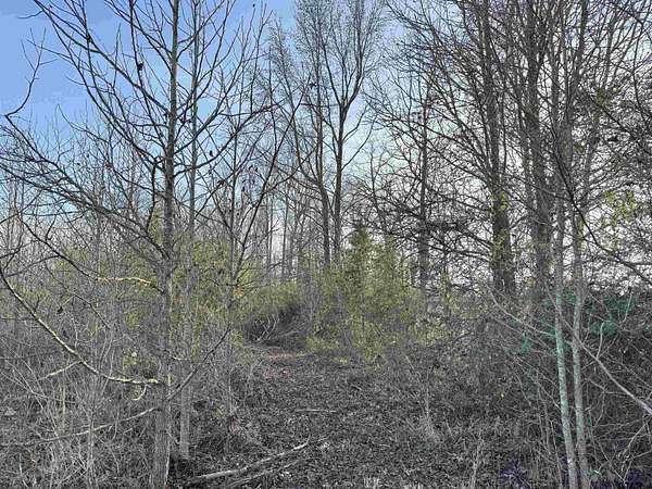 2.59 Acres of Residential Land for Sale in Mount Pleasant, Texas