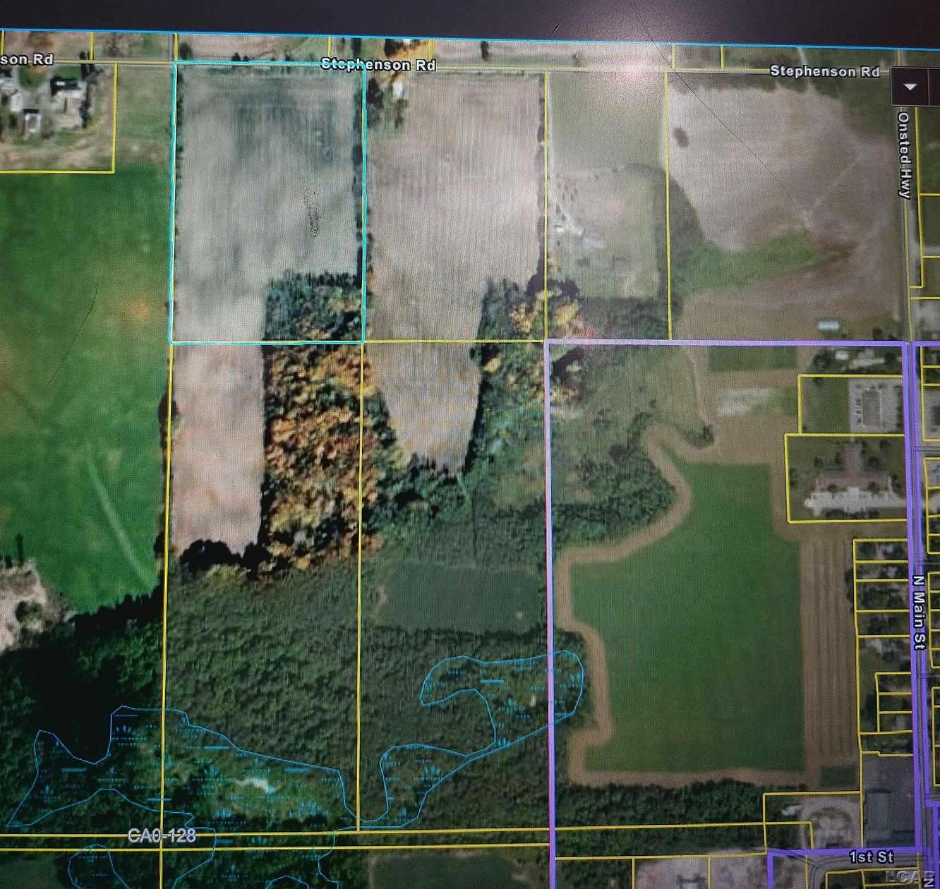 40 Acres of Land for Sale in Onsted, Michigan