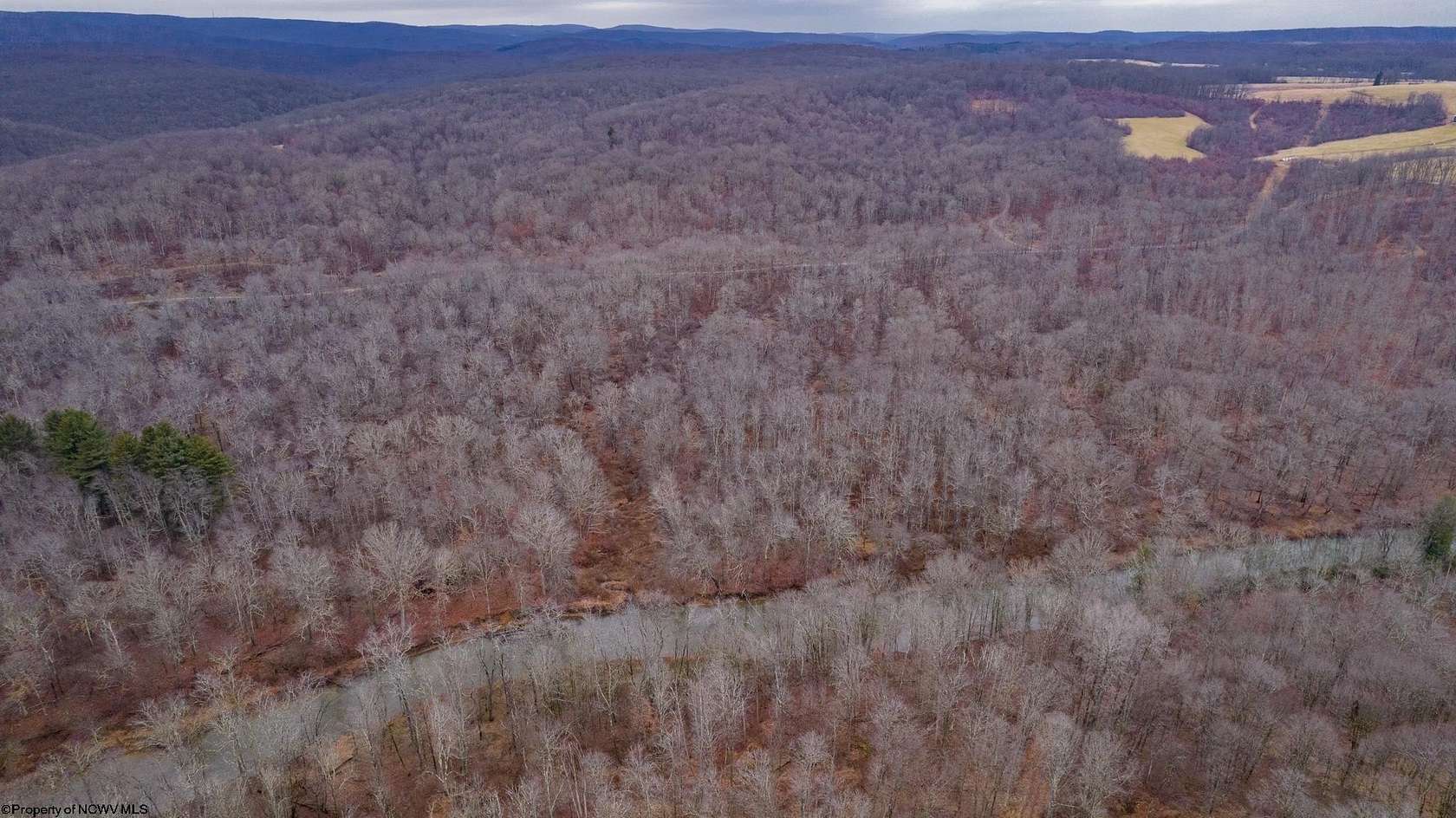 33.1 Acres of Recreational Land for Sale in Bruceton Mills, West Virginia
