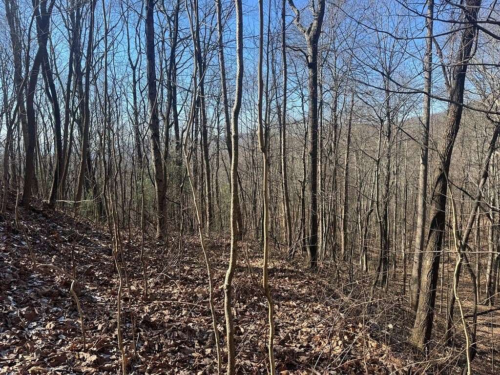 3 Acres of Land for Sale in Murphy, North Carolina
