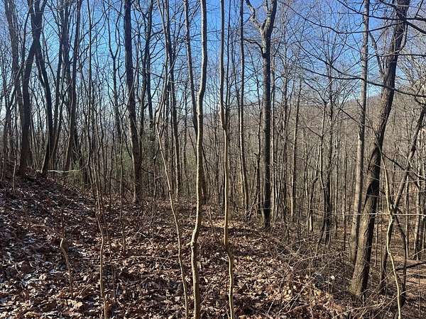 3 Acres of Land for Sale in Murphy, North Carolina