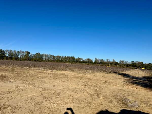 21.5 Acres of Agricultural Land for Sale in Newton, Alabama