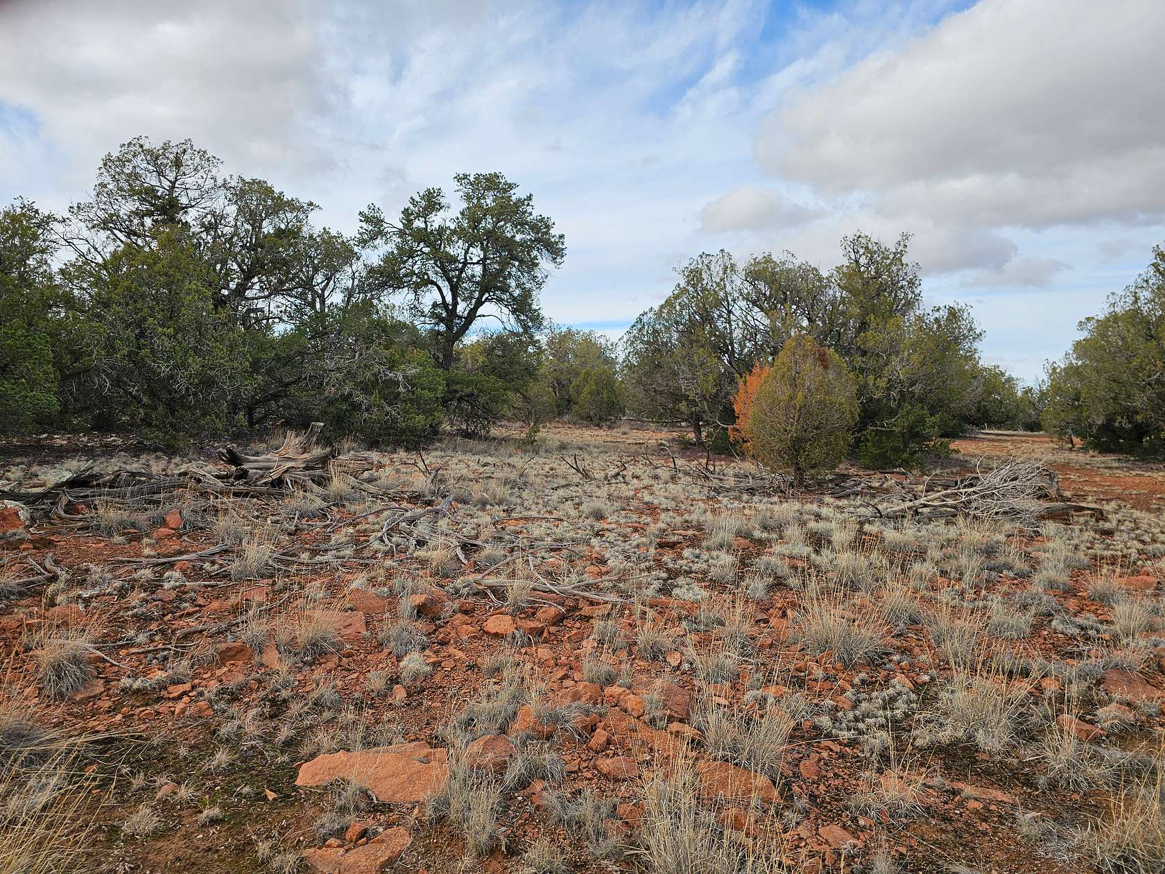 2 Acres of Land for Sale in Seligman, Arizona